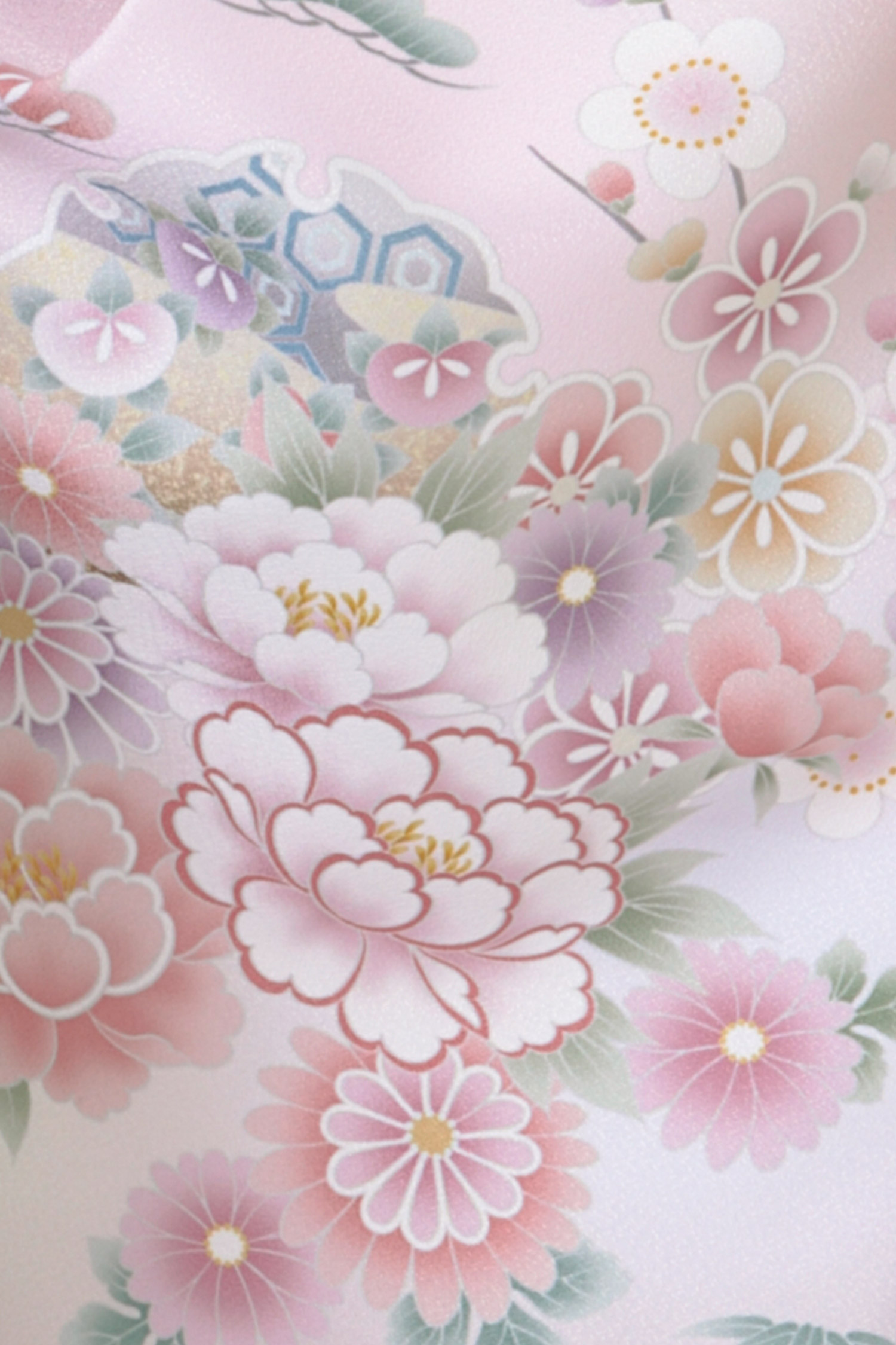 レンタル袴&着物 「桜色 菊ぼたん 卒業式着物（訪問着）」&「紫