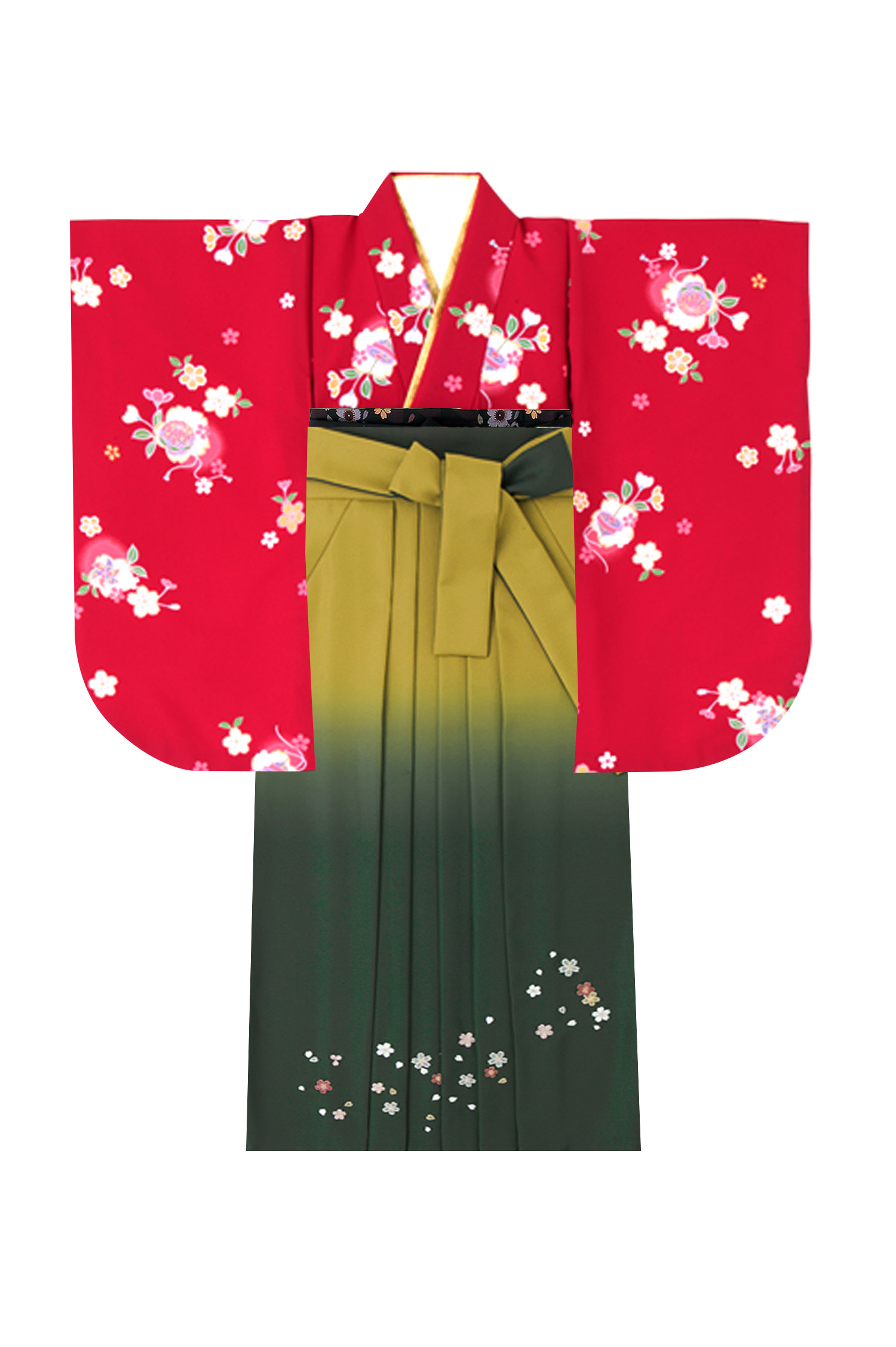 レンタル袴&着物 「赤 小紋桜」&「抹茶グリーン ボカシ刺しゅう