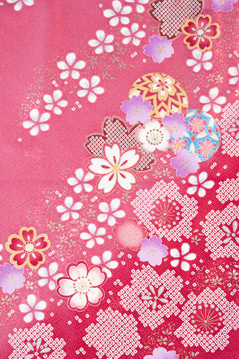 レンタル袴&着物 「ローズ 絞り桜」&「紫・黒 ボカシ刺しゅう」 | 小 