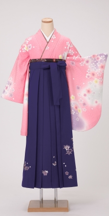 レンタル袴&着物 「ピンク いろ桜」&「紫 桜蝶刺しゅう」 | 小振袖